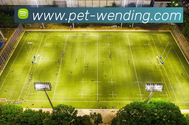 问鼎娱乐品牌故事