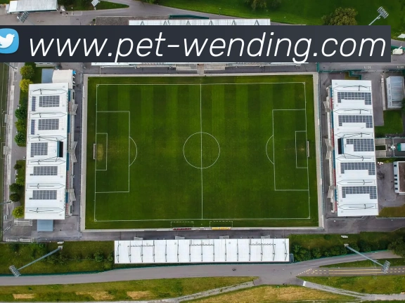 问鼎娱乐服务体系