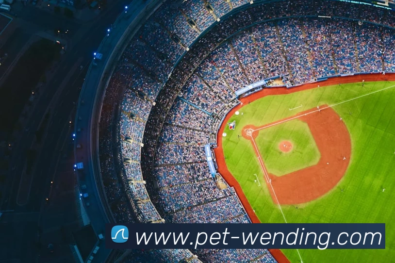 多媒体互动体验