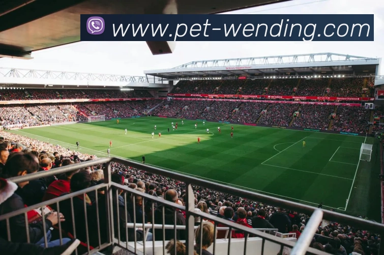 问鼎娱乐APP 体育赛事宣传图